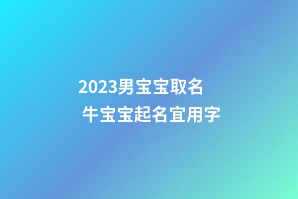 2023男宝宝取名 牛宝宝起名宜用字
